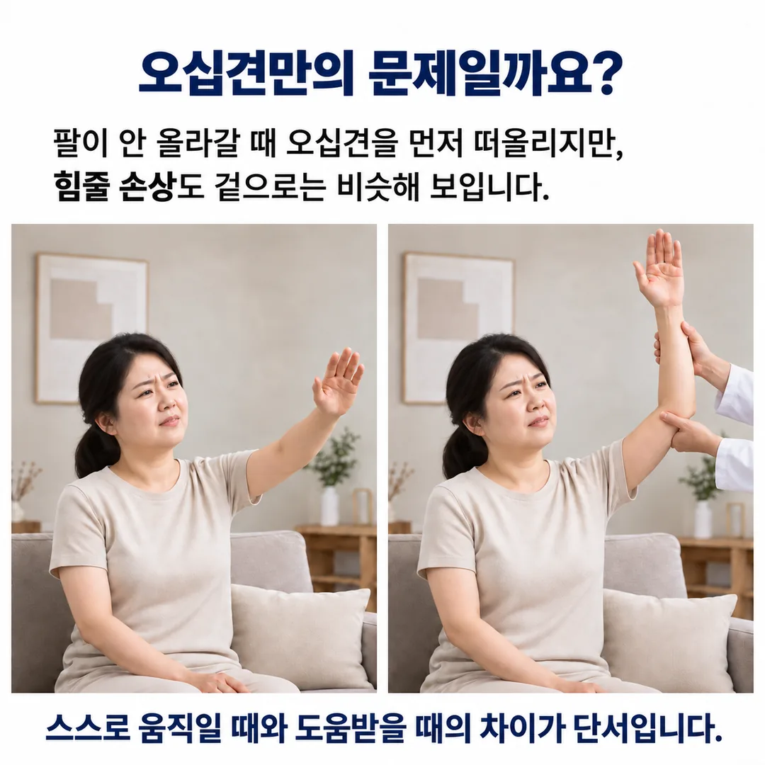스스로 팔을 올리는 여성과 의료진이 팔을 받쳐 함께 올려 주는 여성을 나란히 보여 주며, 팔이 안 올라갈 때 오십견을 먼저 떠올리지만 힘줄 손상도 겉으로는 비슷해 보인다는 안내 카드
