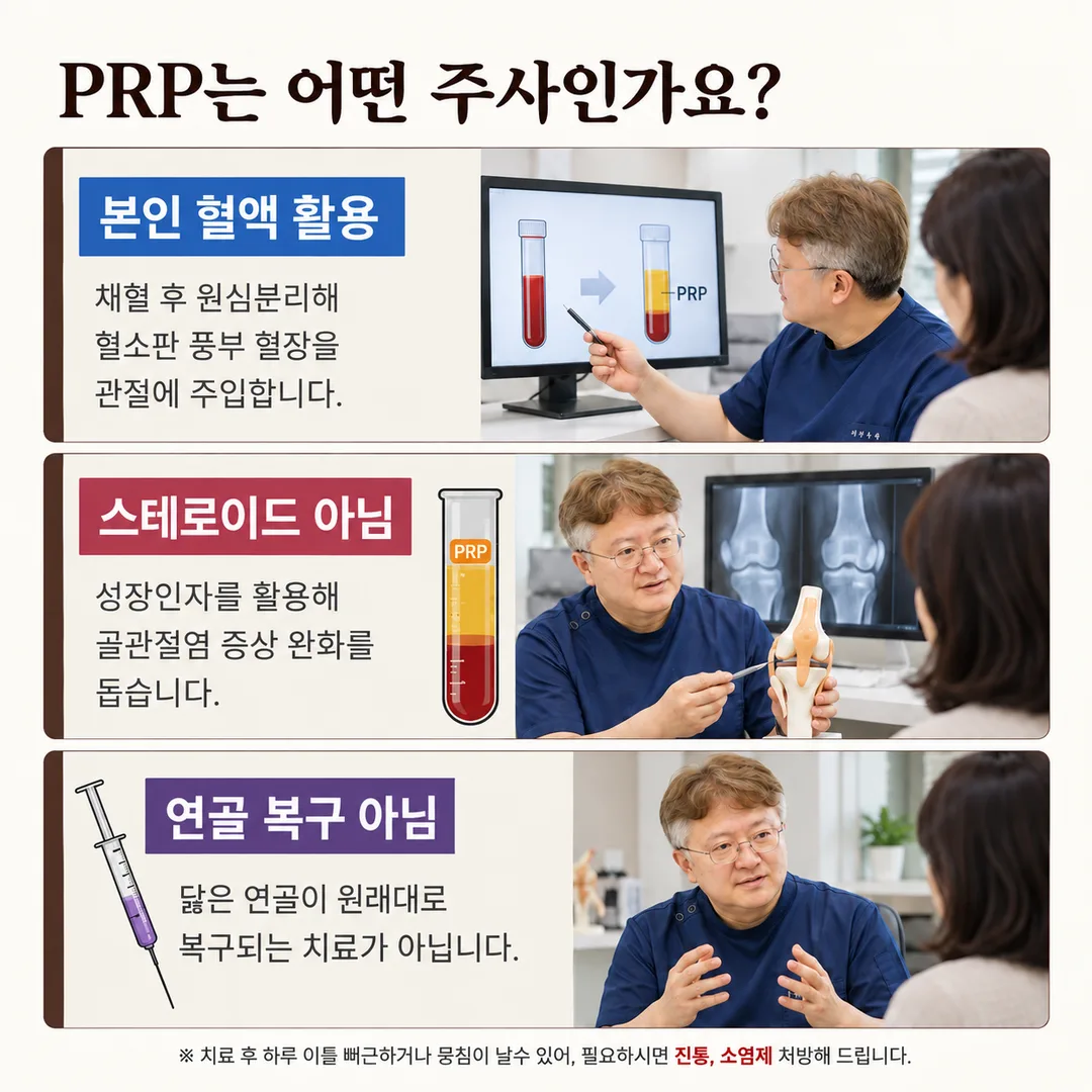 본인 혈액을 원심분리해 혈소판 풍부 혈장을 관절에 주입하는 PRP 주사의 원리와, 스테로이드가 아니며 닳은 연골을 원래대로 복구하는 치료도 아니라는 세 가지 설명을 정리한 카드