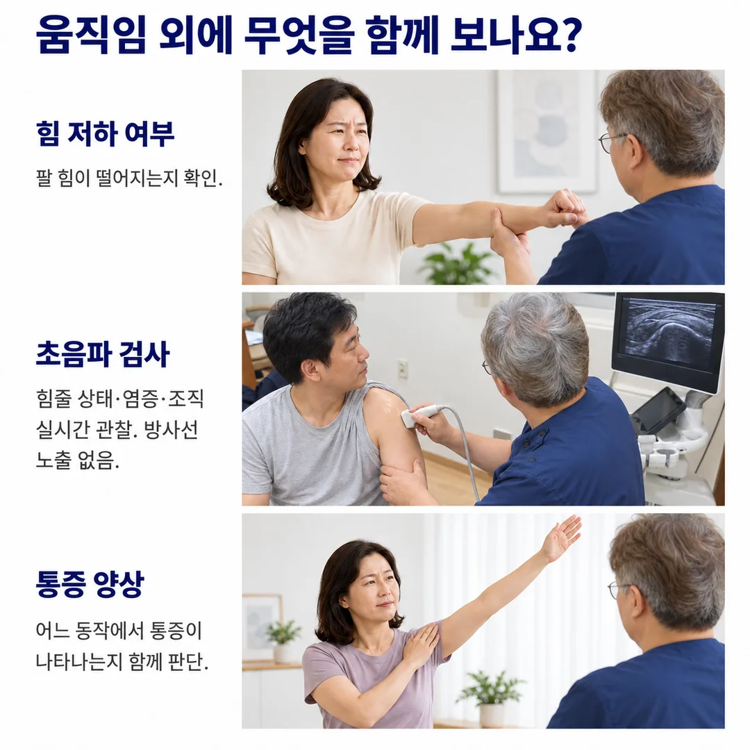 진료실에서 팔의 힘이 떨어지는지 확인하는 장면, 초음파 화면으로 어깨 힘줄 상태를 실시간으로 살피는 장면, 어느 동작에서 통증이 나타나는지 확인하는 장면을 정리한 카드